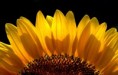 /album/fotogalerie-moje-oblibena-fota/a508356-jpg/
