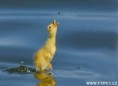 /album/fotogalerie-moje-oblibena-fota/lovec-kachnatko-jpg/