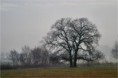 /album/fotogalerie-moje-oblibena-fota/zwillinge-jpg/