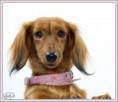 MARTINA