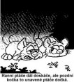 /album/fotogalerie-pavel-kantorek/a5891-1068715931467-1633158149-180984-4799618-n-jpg/